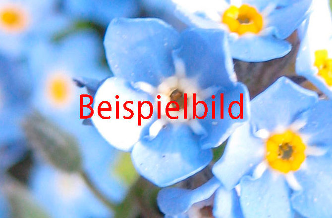 Beispielbild_3